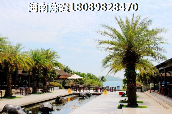 郁金香小镇能生纸吗1